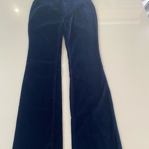 VELVET FREE PEOPLE ROYAL BLUE PANTS